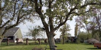 Camping de Kapberg tuin: kleinschalig kamperen in het groen Camping de Kapberg tuin: kleinschalig kamperen in het groen