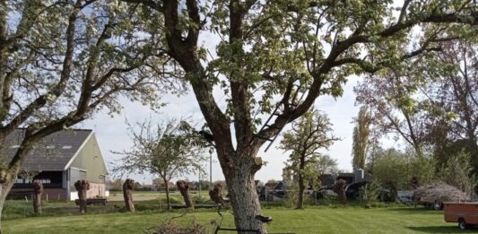Camping de Kapberg tuin: kleinschalig kamperen in het groen Camping de Kapberg tuin: kleinschalig kamperen in het groen