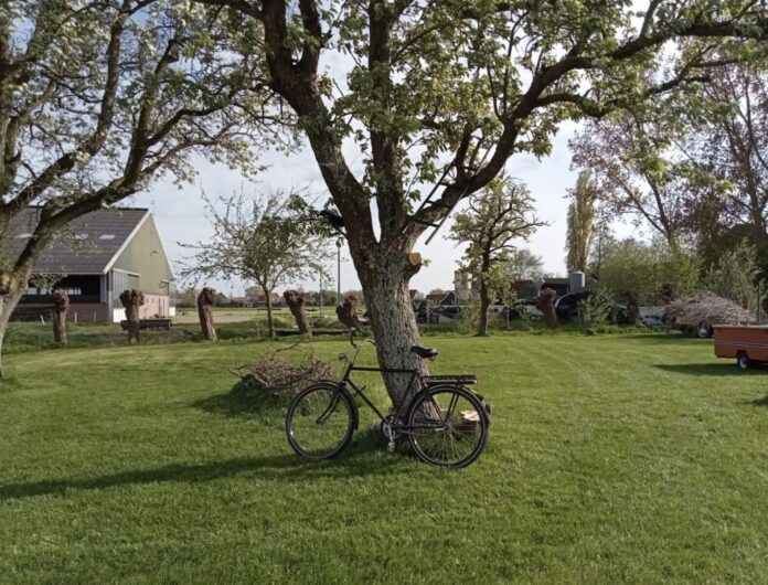 Camping de Kapberg tuin: kleinschalig kamperen in het groen Camping de Kapberg tuin: kleinschalig kamperen in het groen
