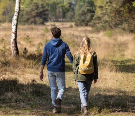 Buitenluchtleven 375 lange & korte wandelingen in Nederland Buitenluchtleven 375 lange & korte wandelingen in Nederland