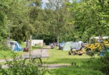 Camping Donnersberg: kamperen midden in de natuur Camping Donnersberg: kamperen midden in de natuur