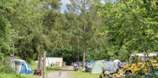 Camping Donnersberg: kamperen midden in de natuur Camping Donnersberg: kamperen midden in de natuur