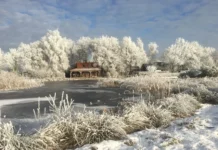 Na feestdagen zoeken Nederlanders rust in de natuur Na feestdagen zoeken Nederlanders rust in de natuur