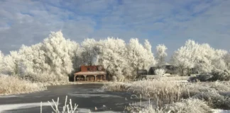 Na feestdagen zoeken Nederlanders rust in de natuur Na feestdagen zoeken Nederlanders rust in de natuur