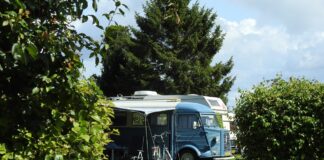Campings beleefden recordjaar in 2025 Campings beleefden recordjaar in 2025