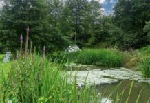 Camping Qui Vivra Verra: rust, natuur en charme in Frankrijk Camping Qui Vivra Verra: rust, natuur en charme in Frankrijk