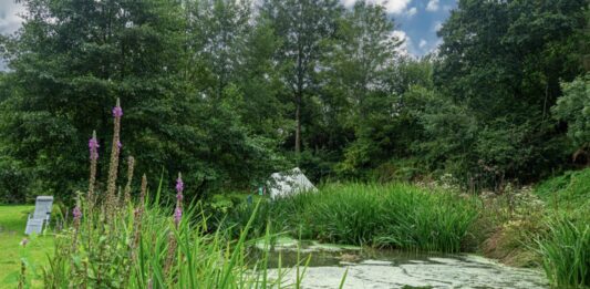 Camping Qui Vivra Verra: rust, natuur en charme in Frankrijk Camping Qui Vivra Verra: rust, natuur en charme in Frankrijk