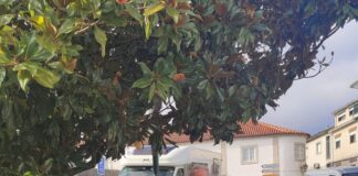 Bijzonder liefdesverhaal: Ons Campertje Bijzonder liefdesverhaal: Ons Campertje