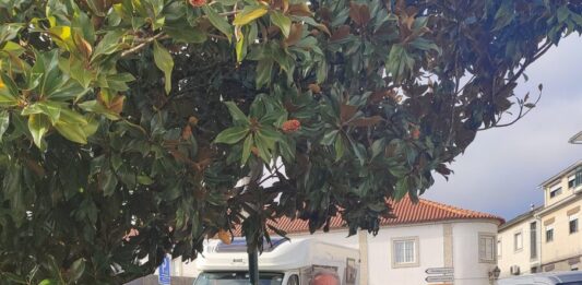 Bijzonder liefdesverhaal: Ons Campertje Bijzonder liefdesverhaal: Ons Campertje