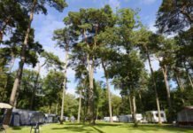 Vakantie en overnachten op De Utrechtse Heuvelrug Steeds meer aandacht voor vakantie en overnachten op De Utrechtse Heuvelrug