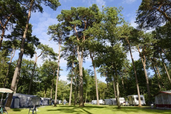 Steeds meer aandacht voor vakantie en overnachten op De Utrechtse Heuvelrug Steeds meer aandacht voor vakantie en overnachten op De Utrechtse Heuvelrug