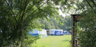 Buitengoed Holthees: ontspannen kamperen in Limburg Buitengoed Holthees: ontspannen kamperen in Limburg