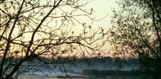 Camping De Turftente in Wetering beleven Camping De Turftente in Wetering beleven