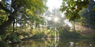 Camping Visvijvers-Nukerke in de Vlaamse Ardennen Camping Visvijvers-Nukerke in de Vlaamse Ardennen