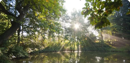 Camping Visvijvers-Nukerke in de Vlaamse Ardennen Camping Visvijvers-Nukerke in de Vlaamse Ardennen