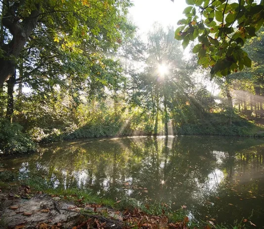 Camping Visvijvers-Nukerke in de Vlaamse Ardennen Camping Visvijvers-Nukerke in de Vlaamse Ardennen