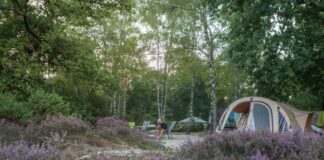 Camping Meuleman in het hart van Salland Camping Meuleman in het hart van Salland