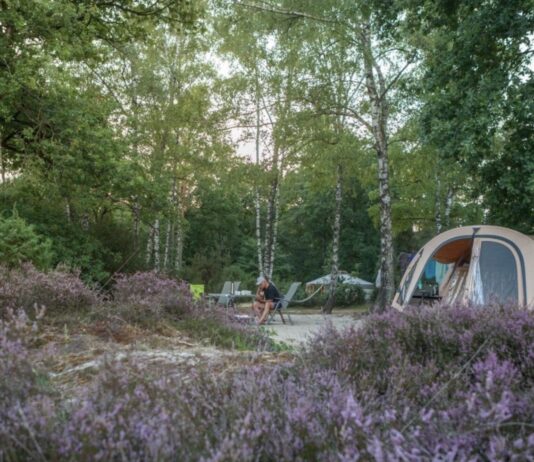 Camping Meuleman in het hart van Salland Camping Meuleman in het hart van Salland