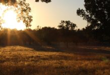 Huren bij de boer: uniek overnachten op het platteland Huren bij de boer: uniek overnachten op het platteland