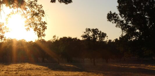 Huren bij de boer: uniek overnachten op het platteland Huren bij de boer: uniek overnachten op het platteland