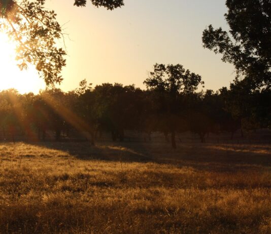 Huren bij de boer: uniek overnachten op het platteland Huren bij de boer: uniek overnachten op het platteland