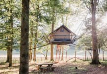 Het Domein van de Grotten van Han Zin om pure, authentieke natuur in België te verkennen? Ontdek de machtige Grotten van Han, ga op avontuur in het grootste dierenpark van België