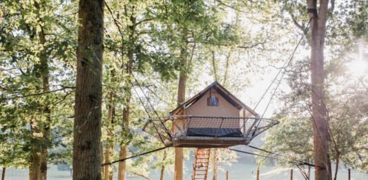 Het Domein van de Grotten van Han Zin om pure, authentieke natuur in België te verkennen? Ontdek de machtige Grotten van Han, ga op avontuur in het grootste dierenpark van België