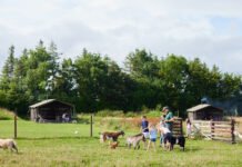 BoerenBed opent vakantieseizoen 2026 BoerenBed opent vakantieseizoen 2026