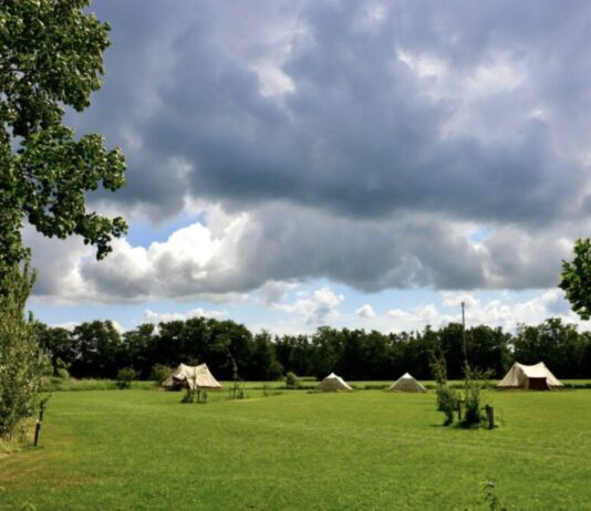 Camping de Terpen in het hart van Friesland Camping de Terpen in het hart van Friesland