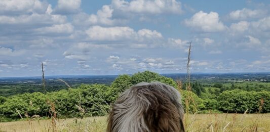 Op vakantie naar Frankrijk samen met je hond Op vakantie naar Frankrijk samen met je hond