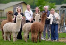 Broer en zus nemen FarmCamps over en zetten in op Europese groei Broer en zus nemen FarmCamps over en zetten in op Europese groei