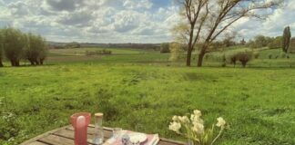 Ontdek de charme van camping Weidenest in Maarkedal, België Ontdek de charme van camping Weidenest in Maarkedal, België