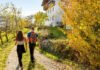 Het oogstseizoen: proef de herfst op reis Het oogstseizoen: proef de herfst op reis