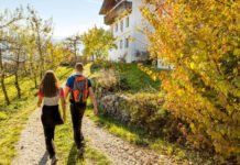 Het oogstseizoen: proef de herfst op reis Het oogstseizoen: proef de herfst op reis
