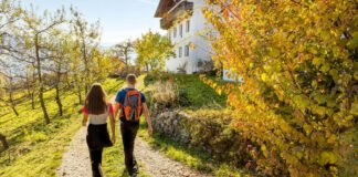 Het oogstseizoen: proef de herfst op reis Het oogstseizoen: proef de herfst op reis