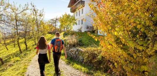 Het oogstseizoen: proef de herfst op reis Het oogstseizoen: proef de herfst op reis
