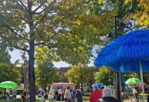 NKC brengt camping naar Abrona