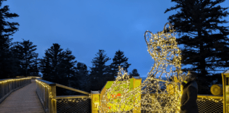 Winterse lichtjes in Bad Wildbad: kamperen in het Zwarte Woud Winterse lichtjes in Bad Wildbad: kamperen in het Zwarte Woud