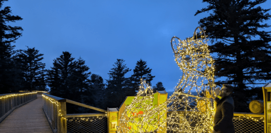 Winterse lichtjes in Bad Wildbad: kamperen in het Zwarte Woud Winterse lichtjes in Bad Wildbad: kamperen in het Zwarte Woud