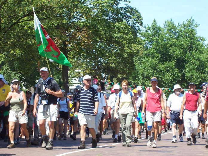 Wandelaars vierdaagse