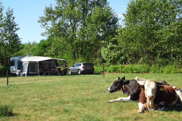 Camping de Blökke in de Achterhoek