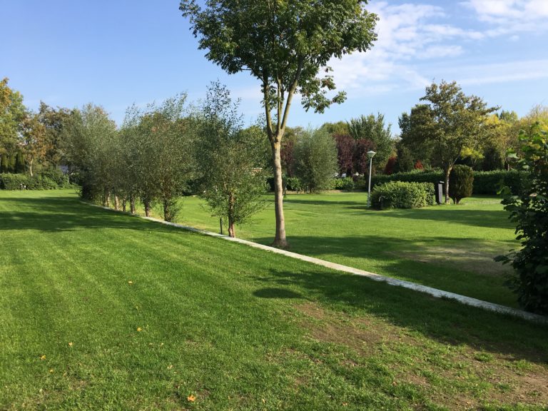 Camping de Delftse Hout - Delft