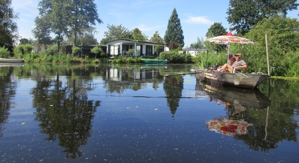 veenweidelandschap
