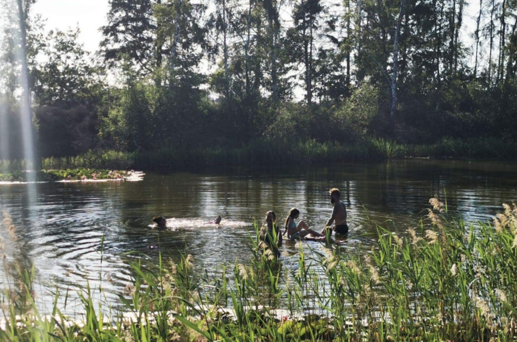 Natuur Vijver