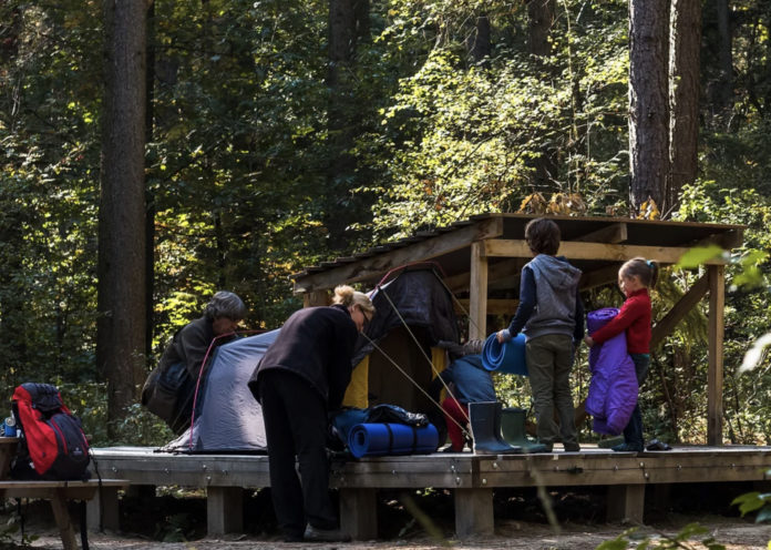 Paalkampeerplaats Duinengordel gratis wildkamperen