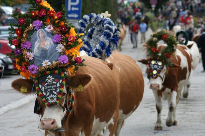Almabtrieb - Almfest