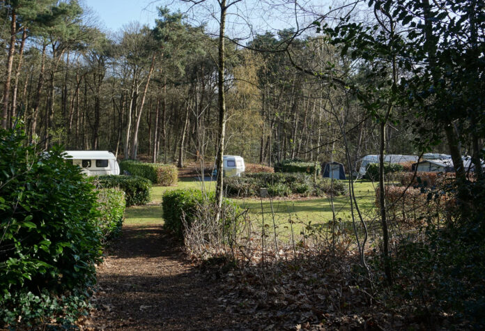 Kamperen op Landgoed De Wildert: Genieten van de natuur