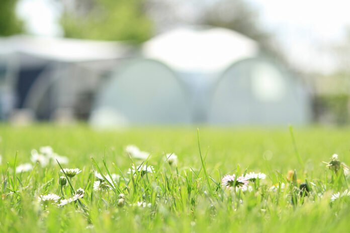 Camping Pergama Landjuweel: kamperen met boerderijbeleving