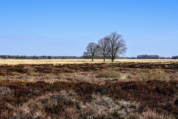 Kamperen in Drenthe: puur genieten in de natuur