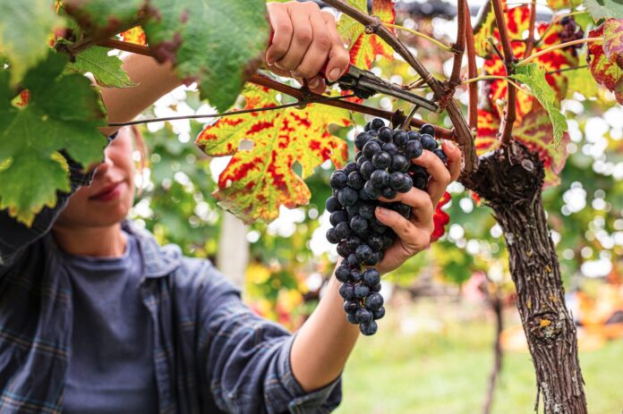 De beste tips voor een roadtrip naar Kroatië in de herfst